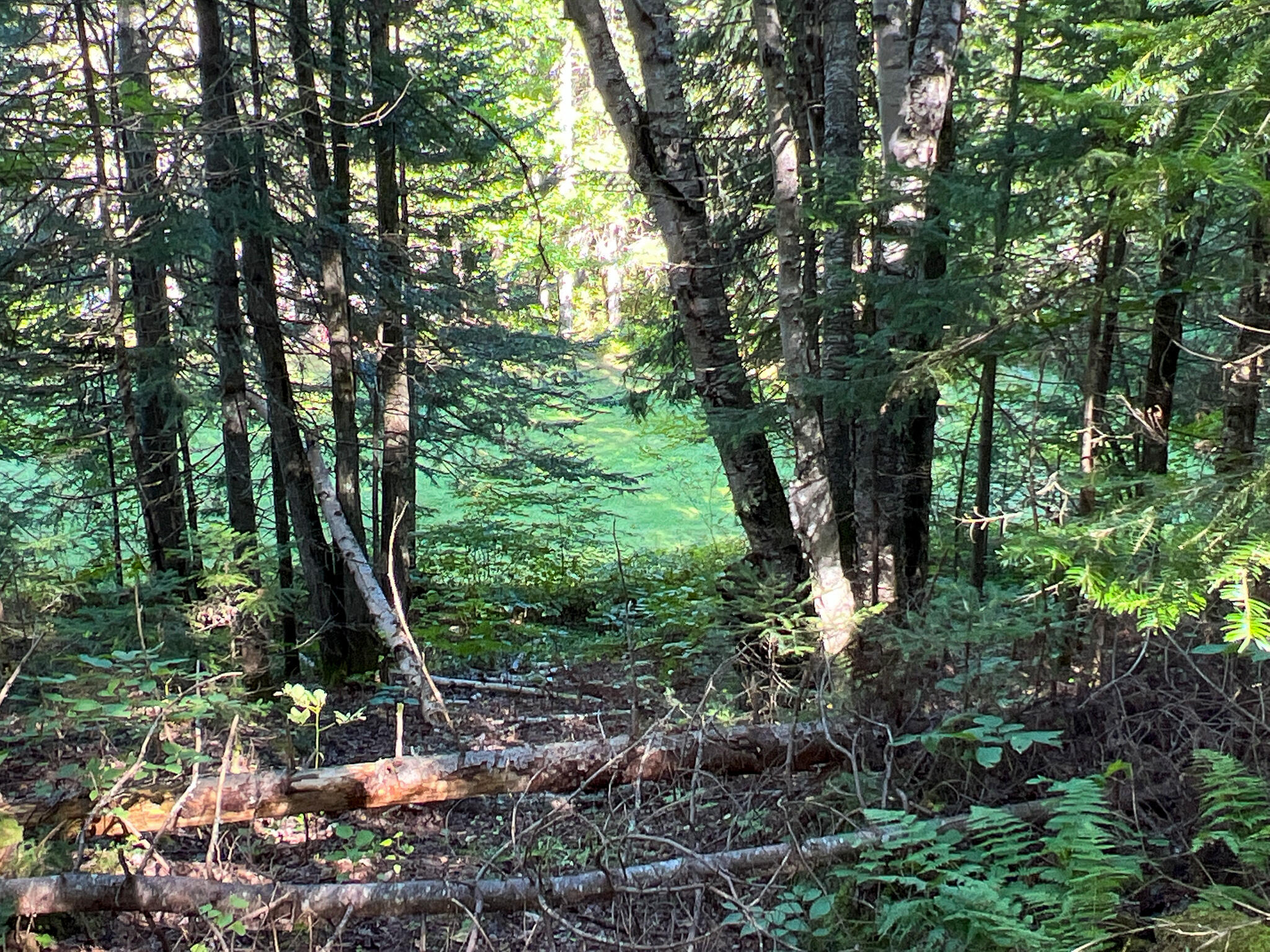 2092 Main Street St. Francis, ME 04774 - Photo 52 of 53 IMG_0573