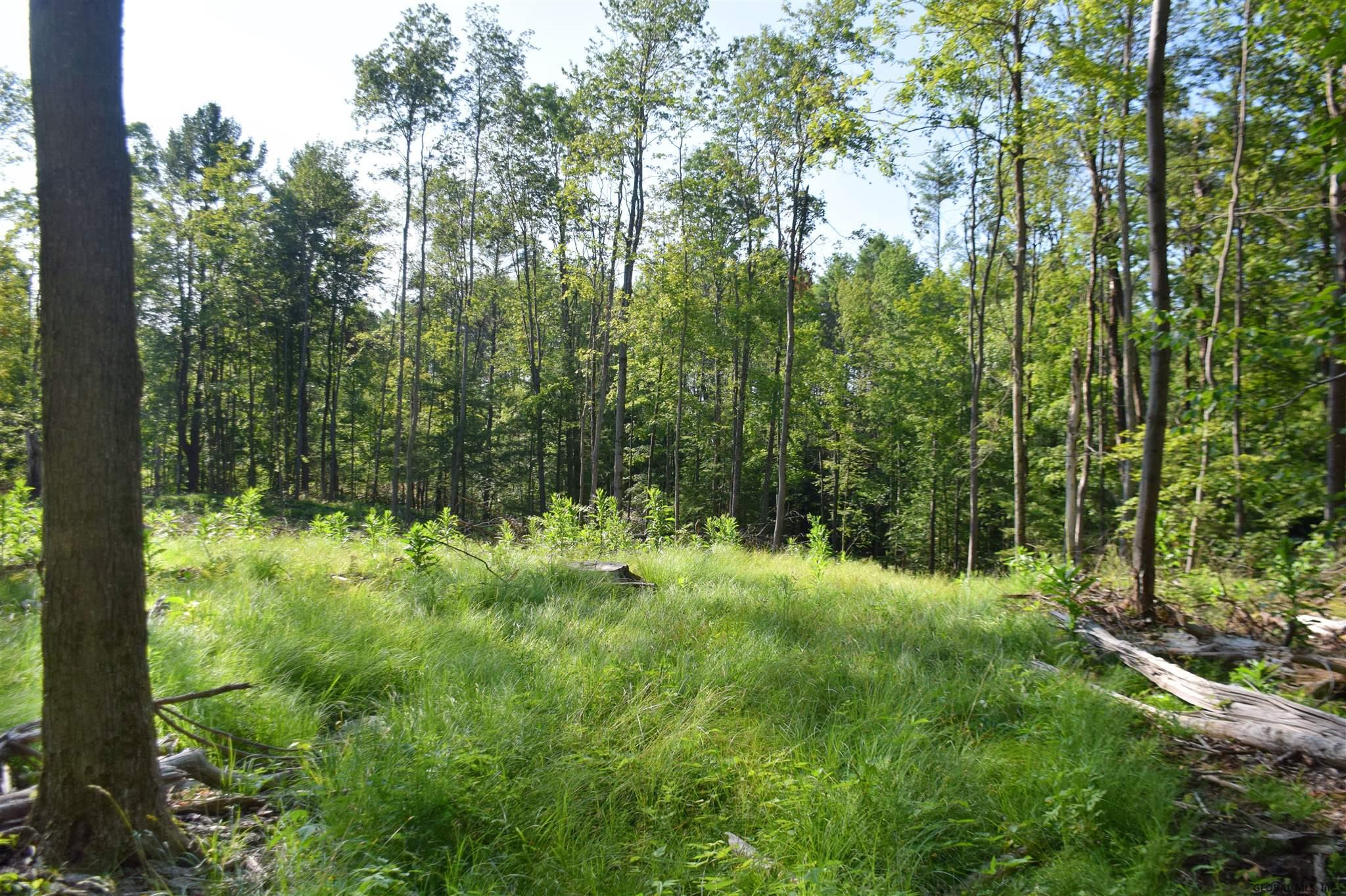 0 Barkersville Road Middle Grove, NY 12850 - Photo 5 of 8 Photo 5