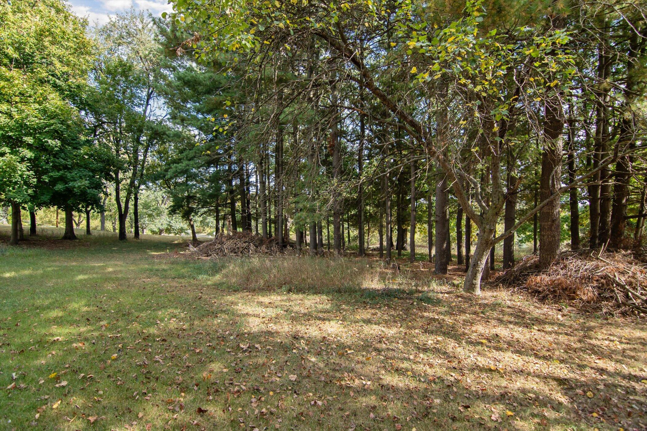 11111 Horning Road Brooklyn, MI 49230 - Photo 40 of 43 48-11111-Horning-Rd-Brooklyn-MI-49230-Wi