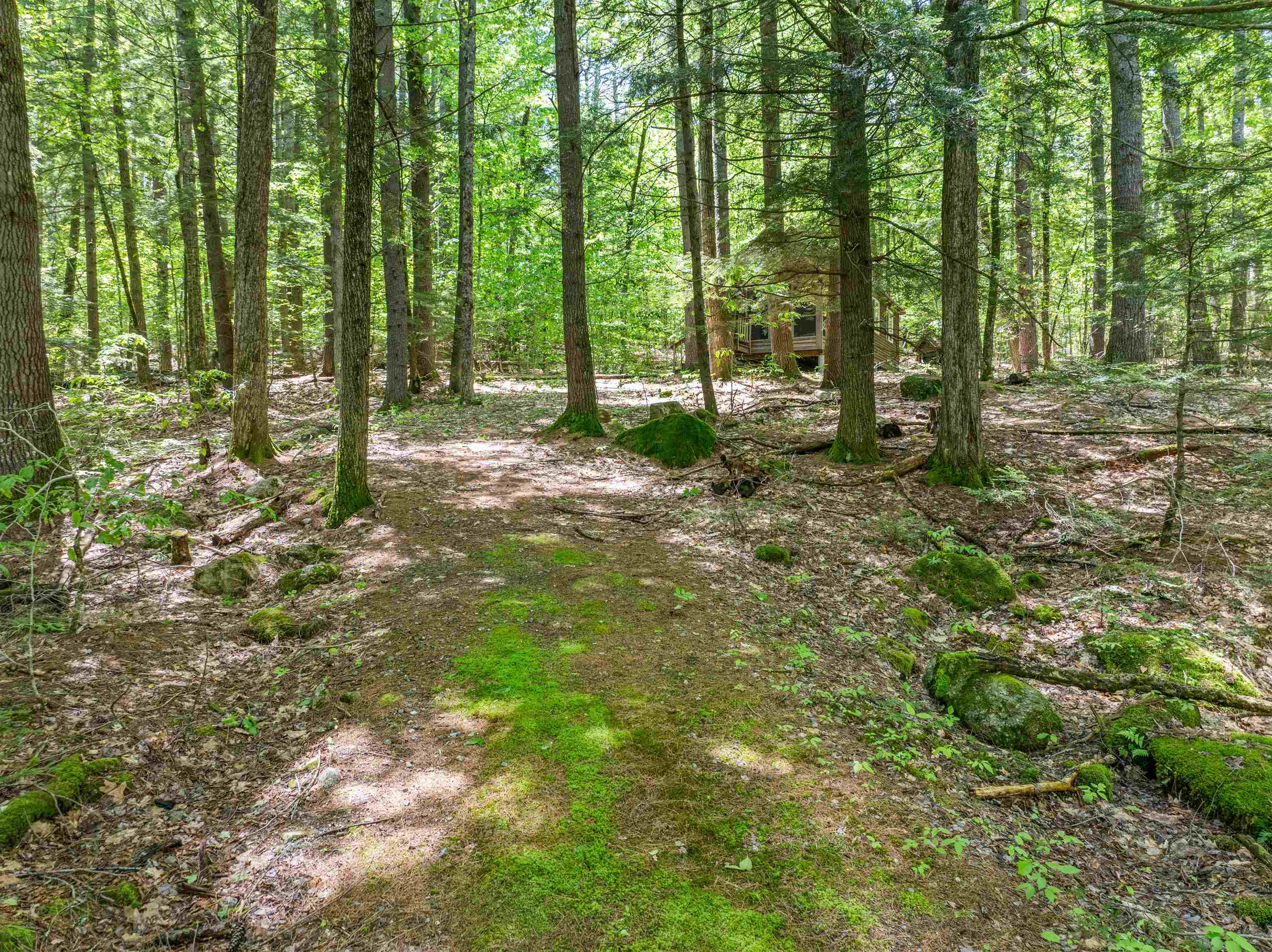 47 Forest Pond Road New Hampton, NH 03256 - Photo 20 of 60