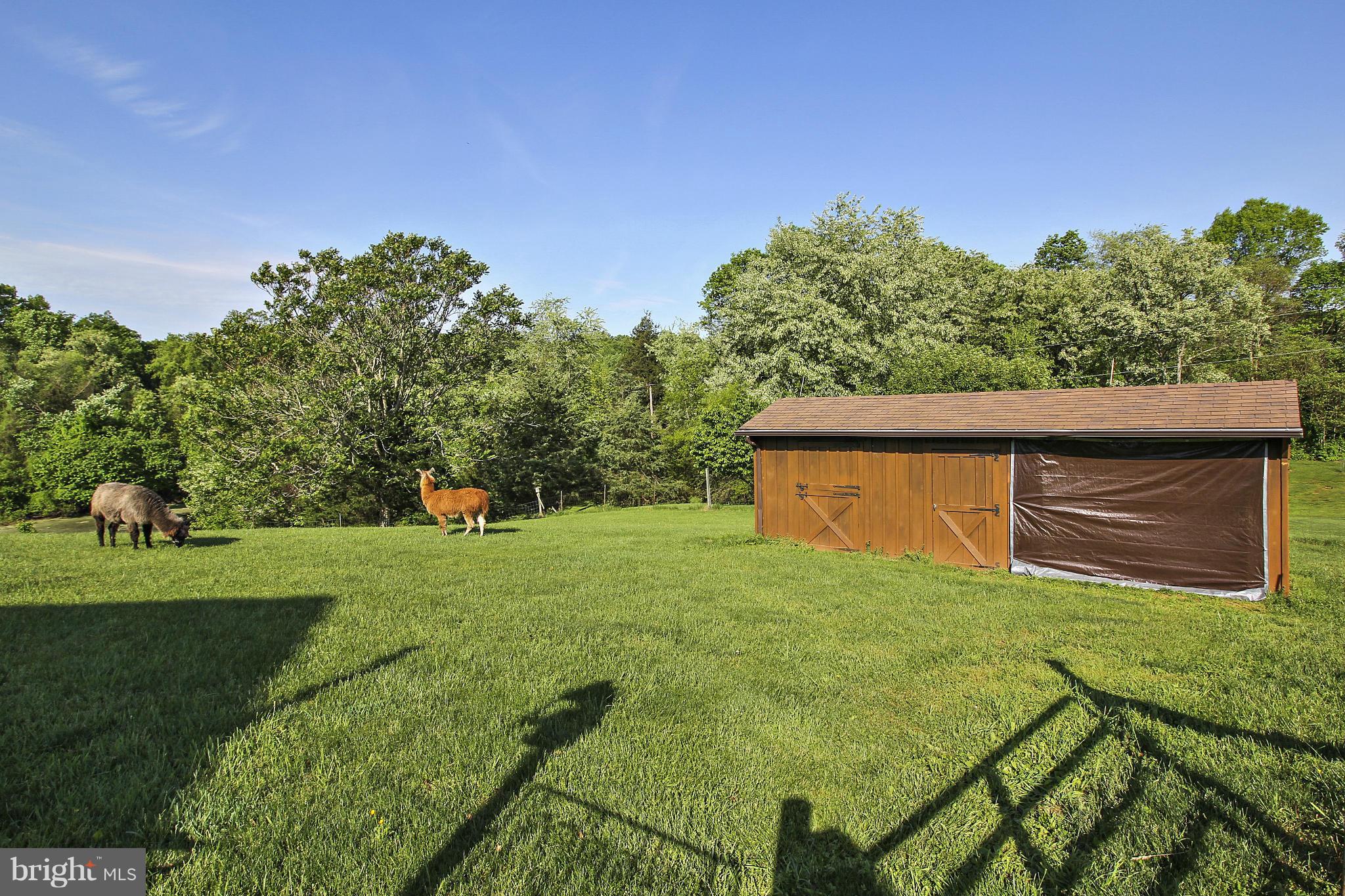 24240 Peach Tree Road Clarksburg, MD 20871 - Photo 22 of 30 Barn