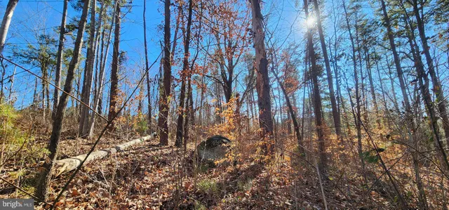 $84,500 | Lot 22 Woodland Shores Drive, Louisa, VA 23093