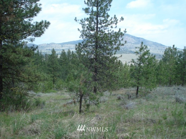 0 Patterson Creek Road Tonasket, WA 98855 - Photo 1 of 16 Gallery Image 1