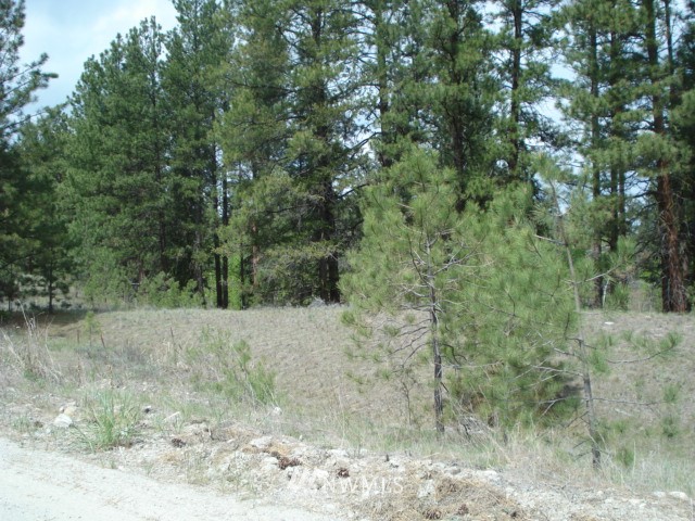 0 Patterson Creek Road Tonasket, WA 98855 - Photo 2 of 16 Gallery Image 2