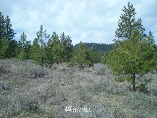 0 Patterson Creek Road Tonasket, WA 98855 - Photo 11 of 16 Gallery Image 11
