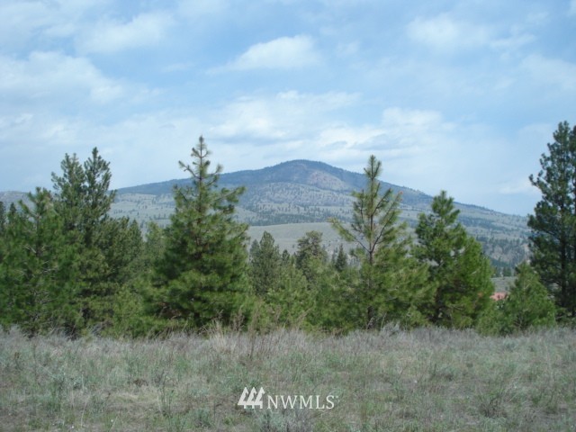 0 Patterson Creek Road Tonasket, WA 98855 - Photo 13 of 16 Gallery Image 13