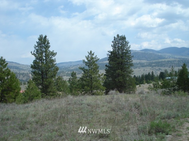 0 Patterson Creek Road Tonasket, WA 98855 - Photo 14 of 16 Gallery Image 14