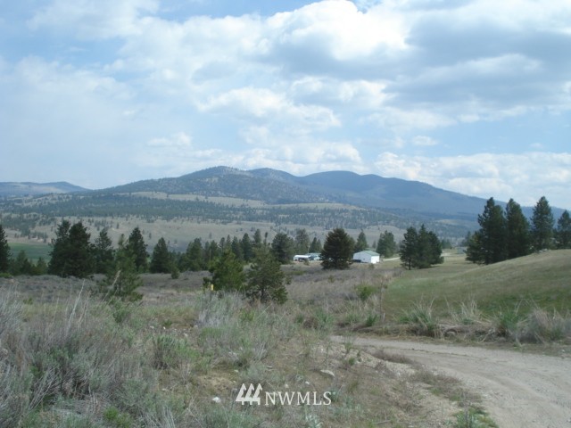 0 Patterson Creek Road Tonasket, WA 98855 - Photo 16 of 16 Gallery Image 16