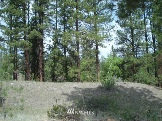 0 Patterson Creek Road Tonasket, WA 98855 - Photo 3 of 16 Gallery Image 3