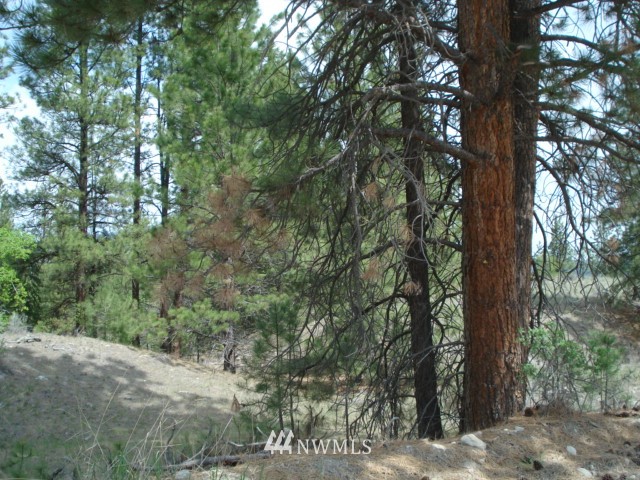 0 Patterson Creek Road Tonasket, WA 98855 - Photo 4 of 16 Gallery Image 4