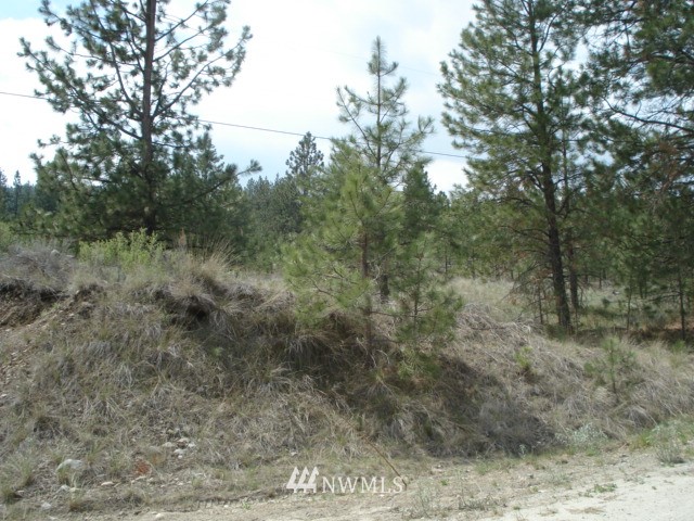 0 Patterson Creek Road Tonasket, WA 98855 - Photo 5 of 16 Gallery Image 5