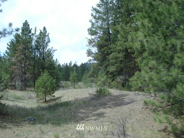 0 Patterson Creek Road Tonasket, WA 98855 - Photo 6 of 16 Gallery Image 6