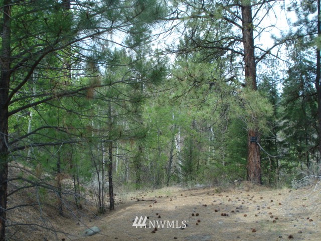 0 Patterson Creek Road Tonasket, WA 98855 - Photo 7 of 16 Gallery Image 7
