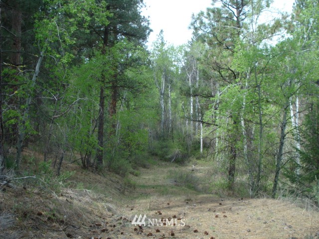 0 Patterson Creek Road Tonasket, WA 98855 - Photo 8 of 16 Gallery Image 8