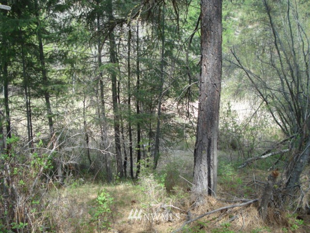 0 Patterson Creek Road Tonasket, WA 98855 - Photo 10 of 16 Gallery Image 10