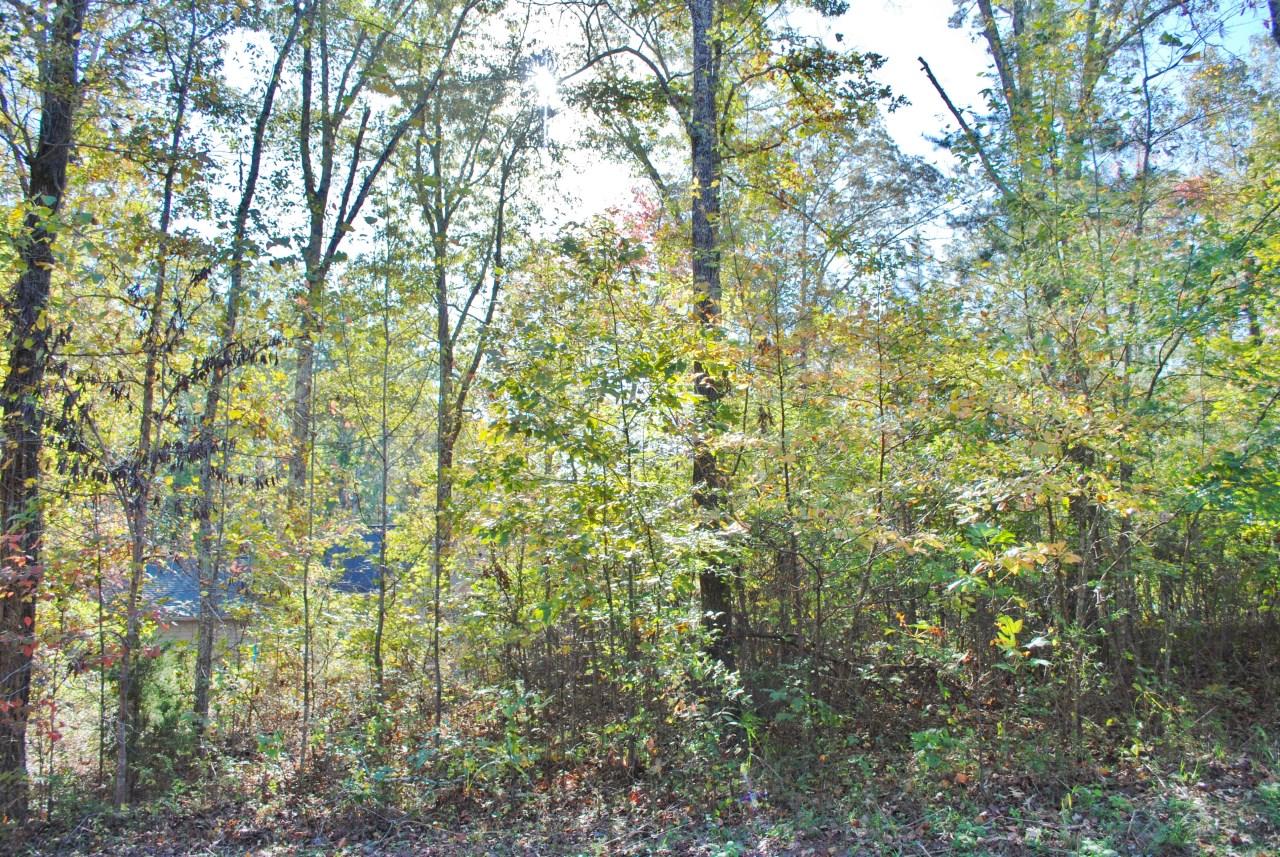 Stump Hollow Spring Spring City, TN 37381 - Photo 3 of 12 DSC_0500
