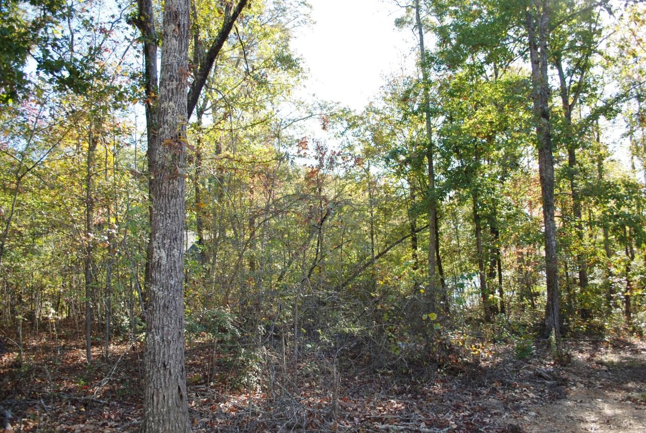 Stump Hollow Spring Spring City, TN 37381 - Photo 4 of 12 DSC_0501
