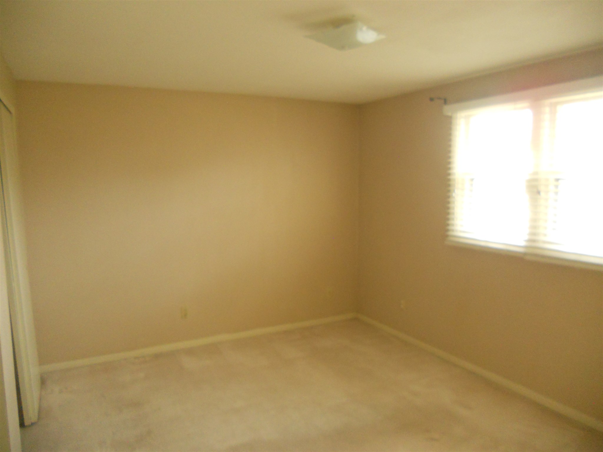 2934 Reed Road Fort Wayne, IN 46815 - Photo 11 of 21 Gallery Image 11