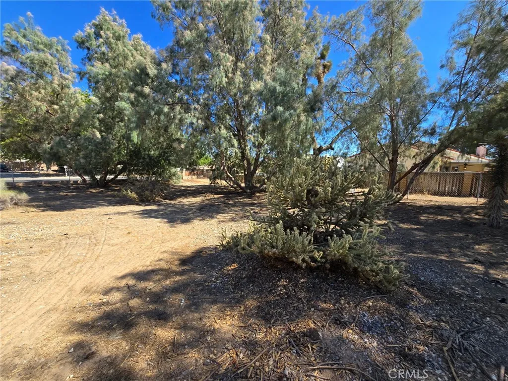 20221 Modoc Road Apple Valley, CA 92308 - Photo 19 of 23 a view of ocean view with large trees