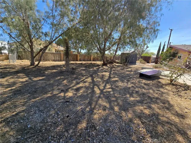 a view of a backyard with large trees