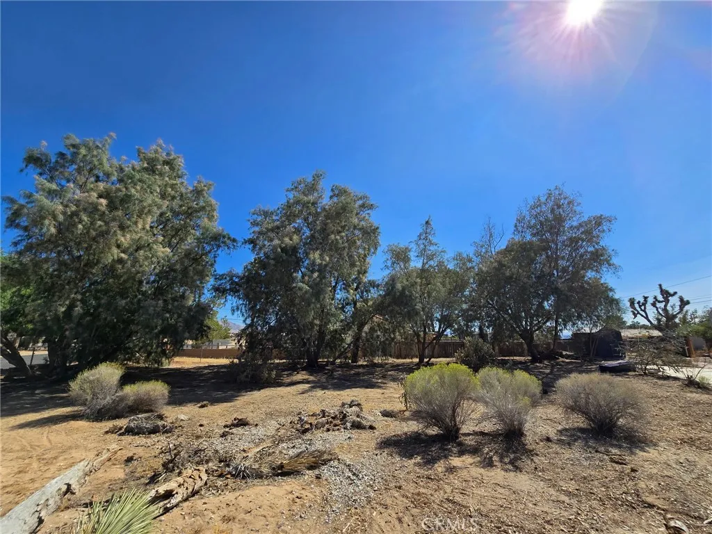 20221 Modoc Road Apple Valley, CA 92308 - Photo 22 of 23 a view of a yard with snow on the road