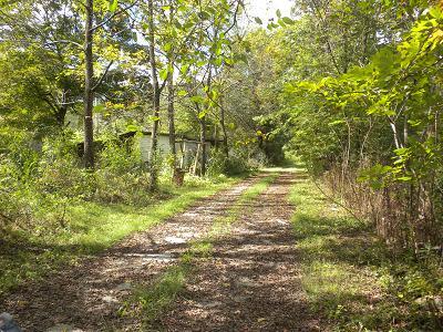 0 Burroughs Cove Road Pelham, TN 37366 - Photo 1 of 5 a big yard with lots of green space and trees