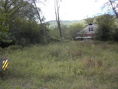 0 Burroughs Cove Road Pelham, TN 37366 - Photo 3 of 5 a view of a tiny house with a yard