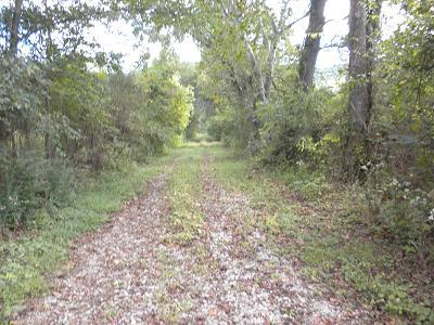 0 Burroughs Cove Road Pelham, TN 37366 - Photo 4 of 5 a view of a yard with a tree