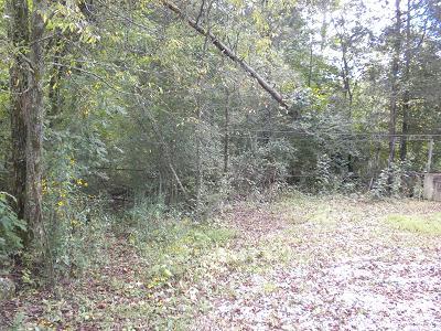 0 Burroughs Cove Road Pelham, TN 37366 - Photo 5 of 5 a view of a yard with a tree