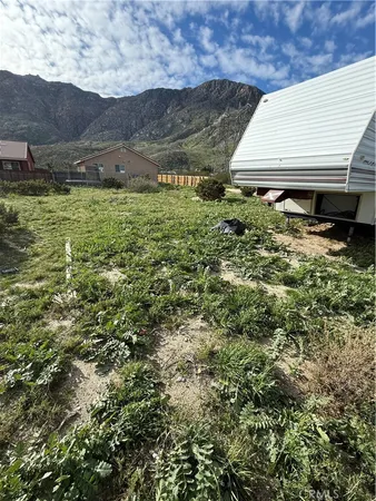 a view of a backyard with plants and lake