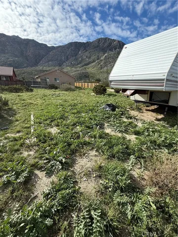 a view of a backyard with plants and lake