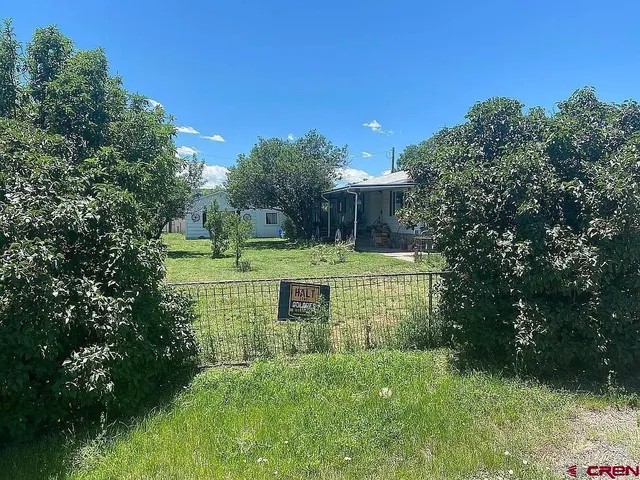 a view of a park with large trees