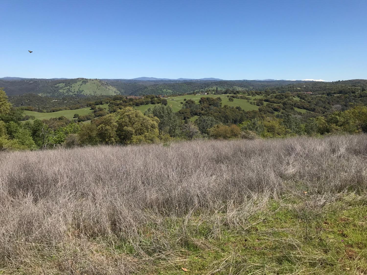 5080 Thompson Hill Road Placerville, CA 95667 - Photo 25 of 37