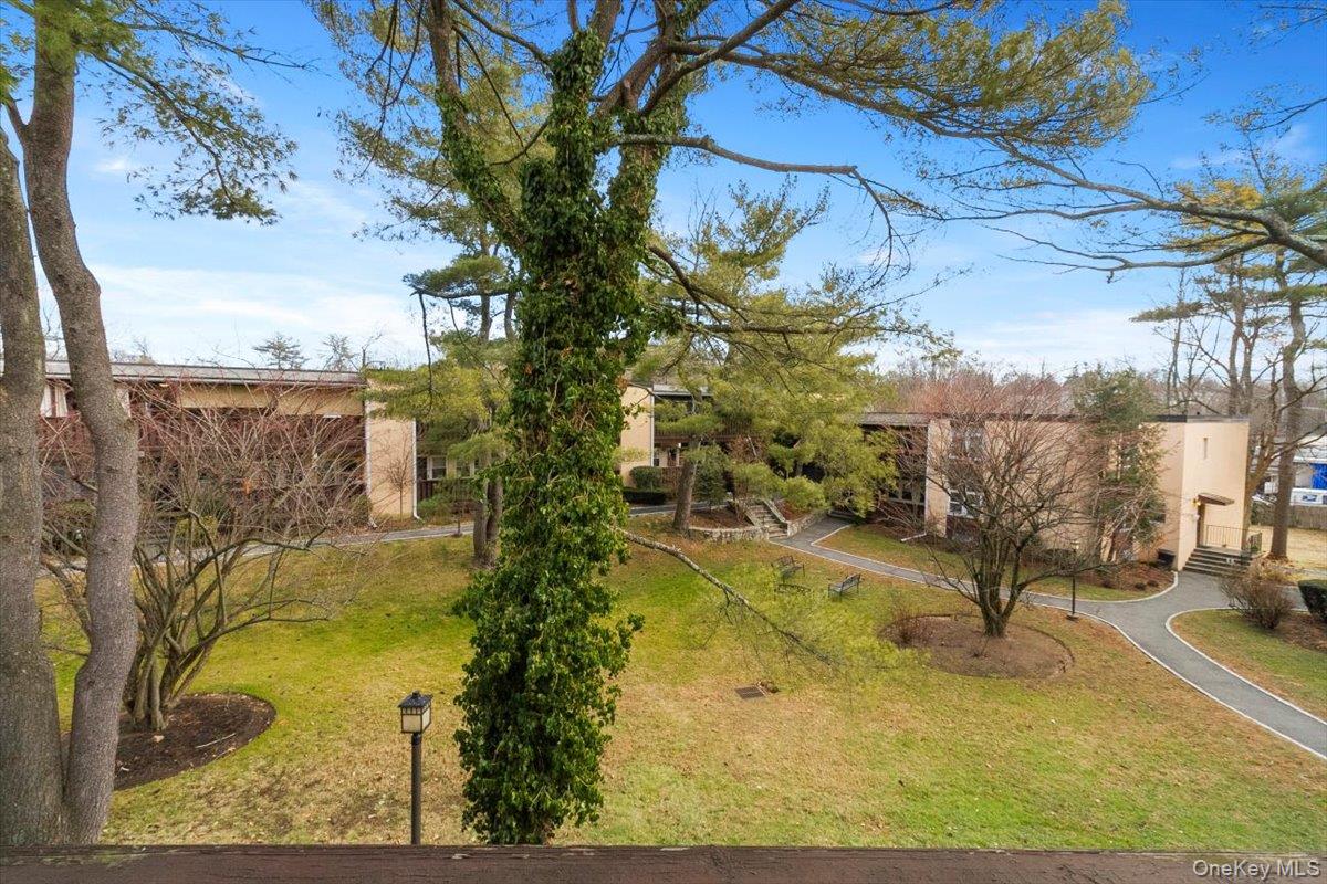 103 Wiltshire Road, Unit D11 Scarsdale, NY 10583 - Photo 21 of 23 a view of a yard