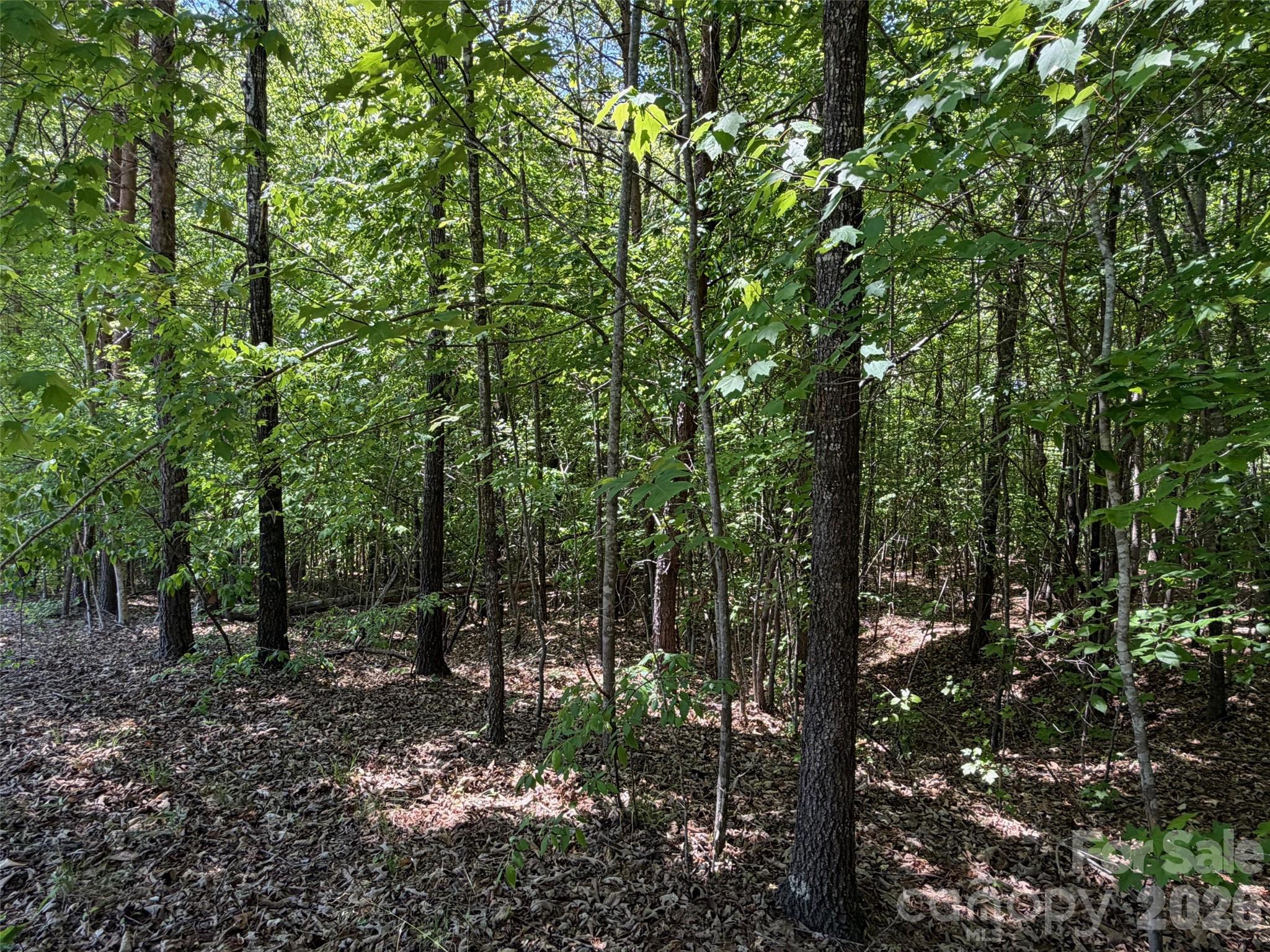 2607 Lockhart Highway Union, SC 29379 - Photo 11 of 19