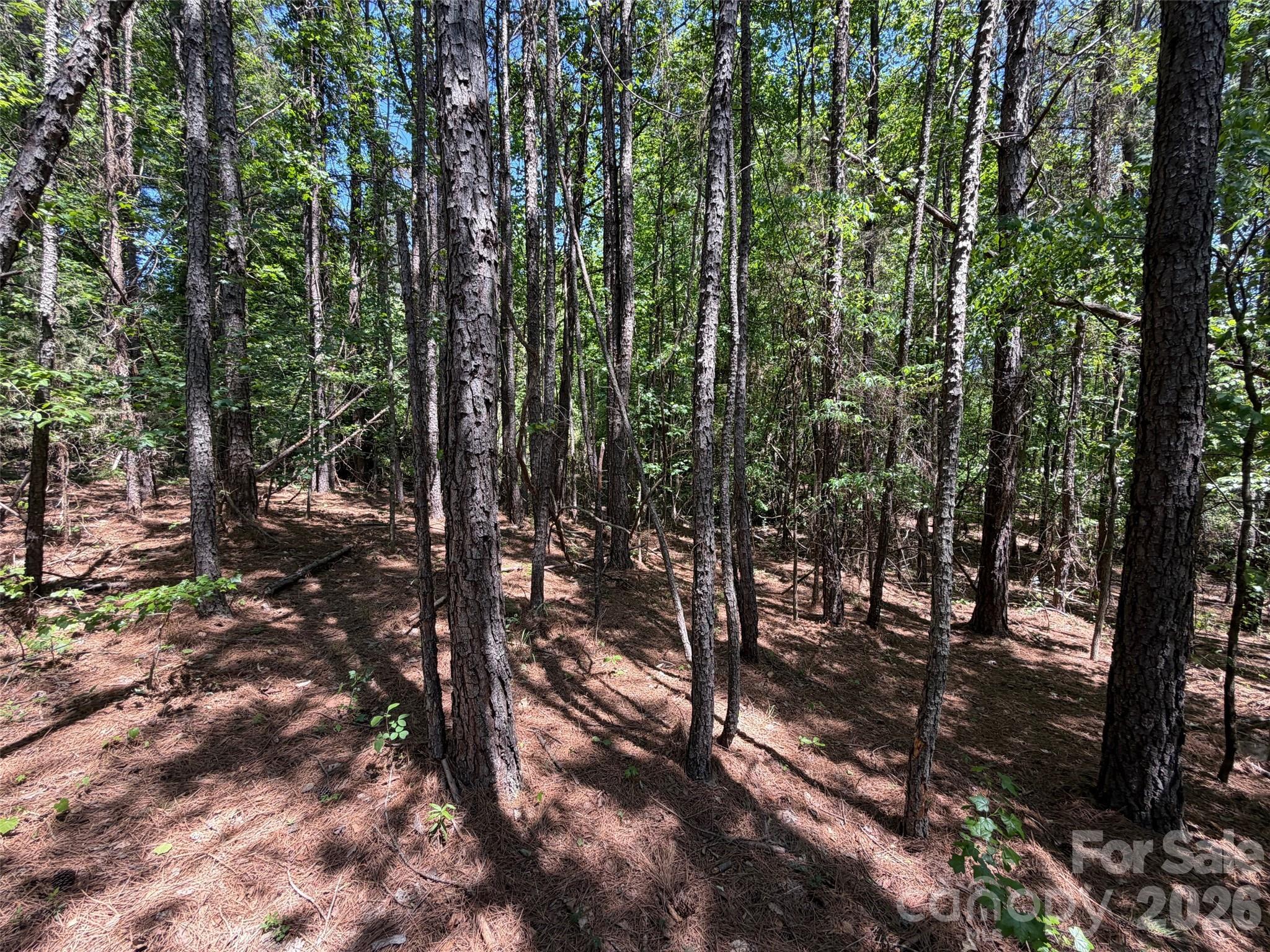 2607 Lockhart Highway Union, SC 29379 - Photo 12 of 19