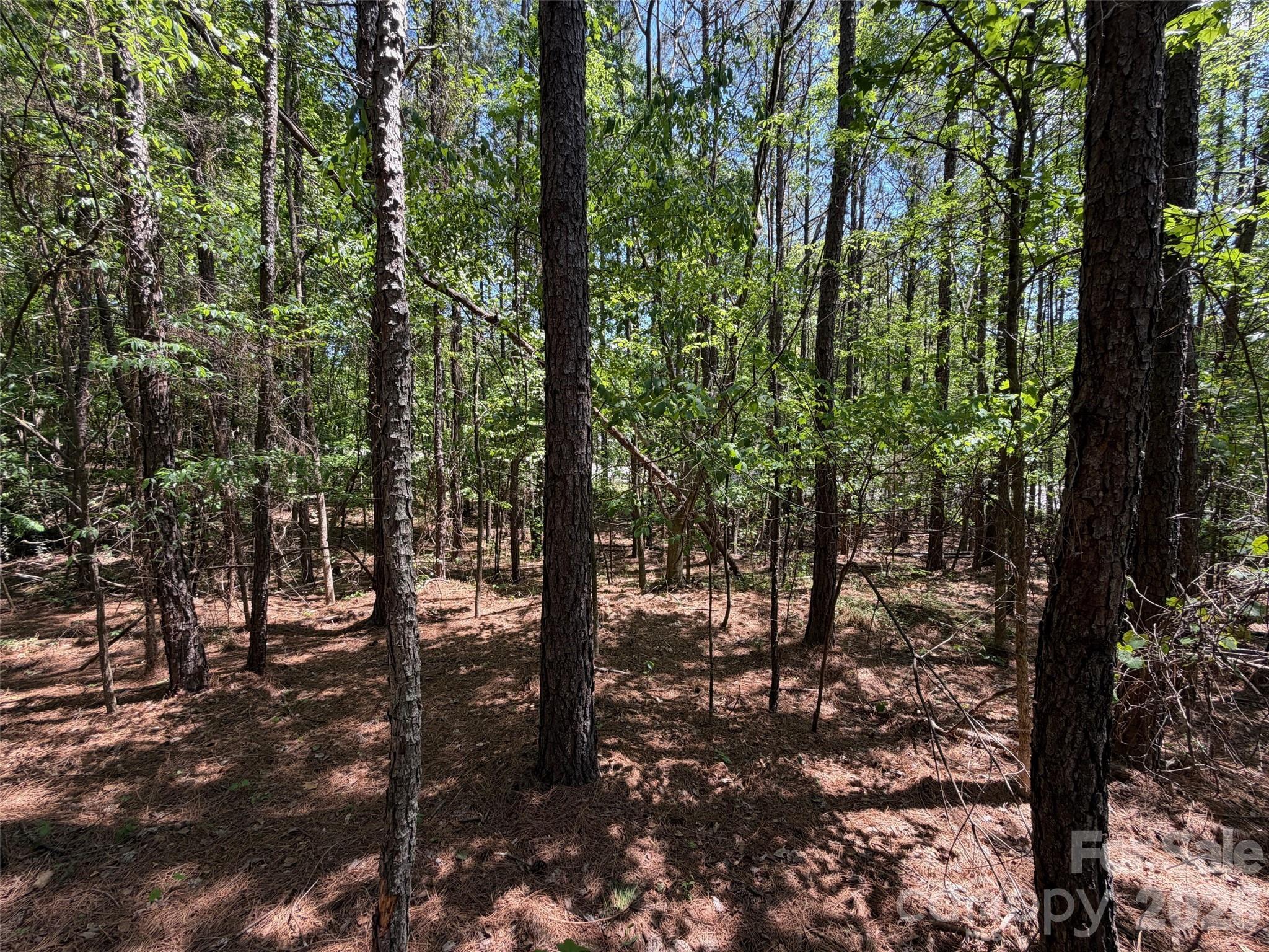 2607 Lockhart Highway Union, SC 29379 - Photo 13 of 19