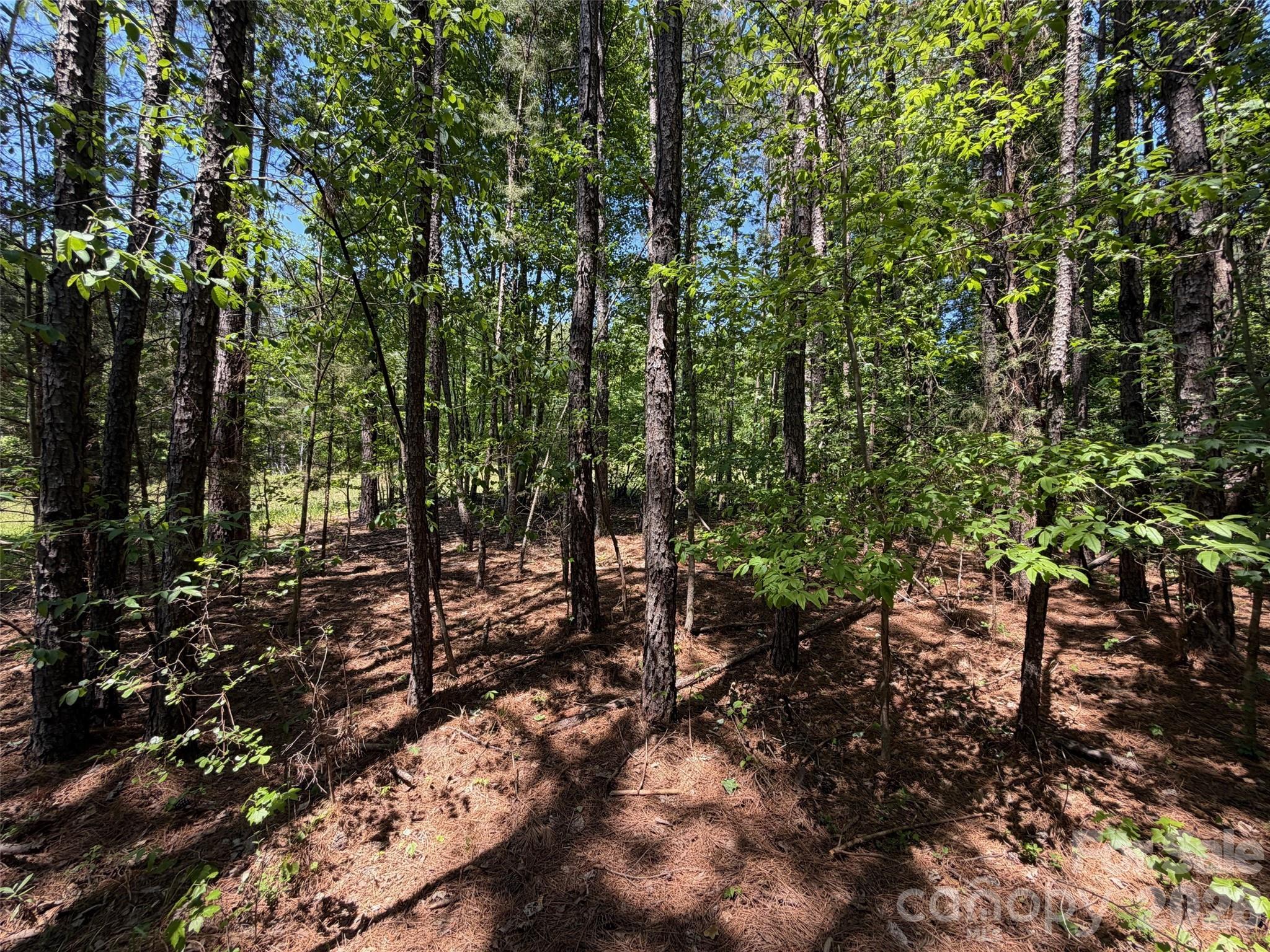 2607 Lockhart Highway Union, SC 29379 - Photo 14 of 19