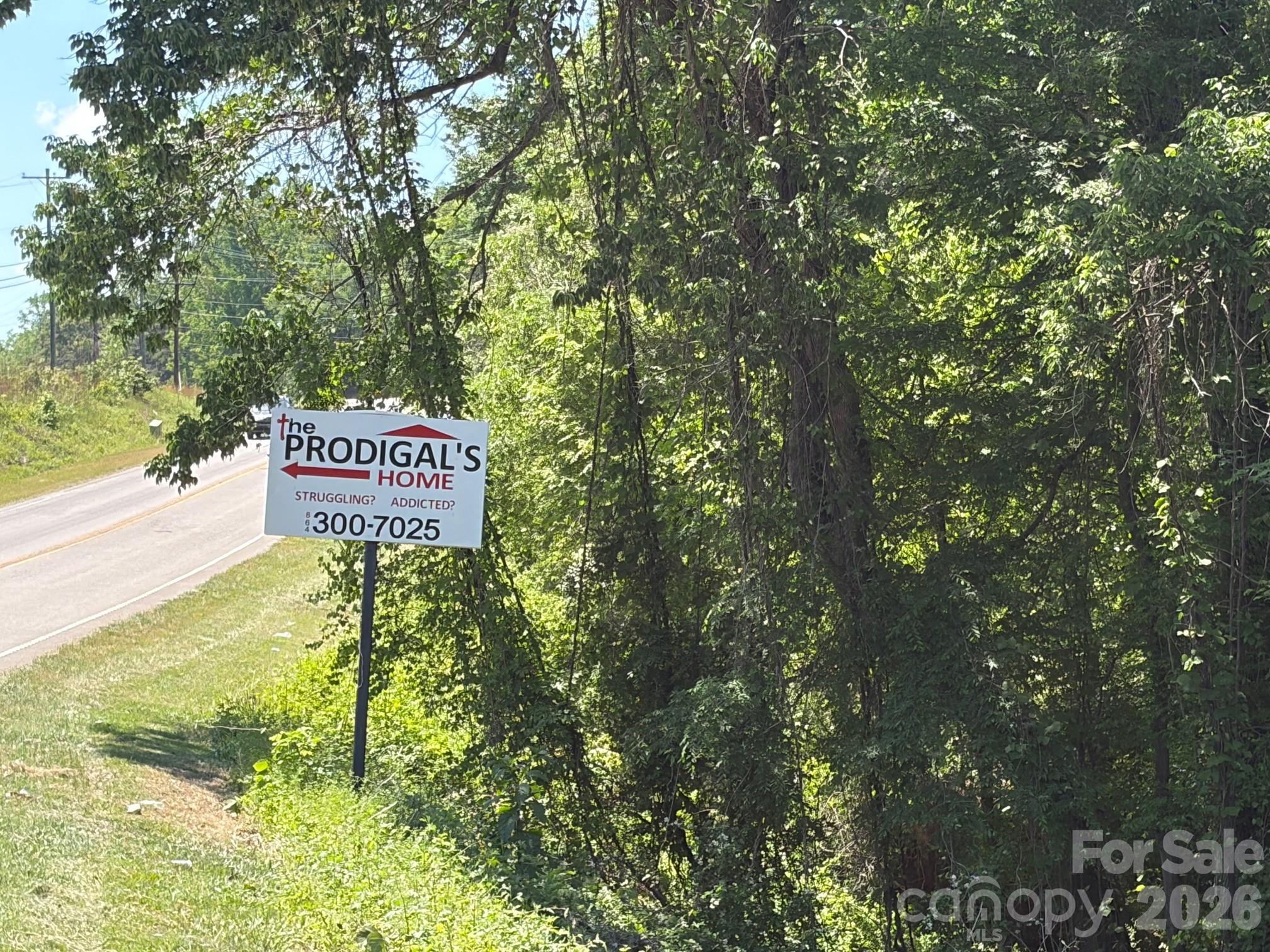 2607 Lockhart Highway Union, SC 29379 - Photo 19 of 19