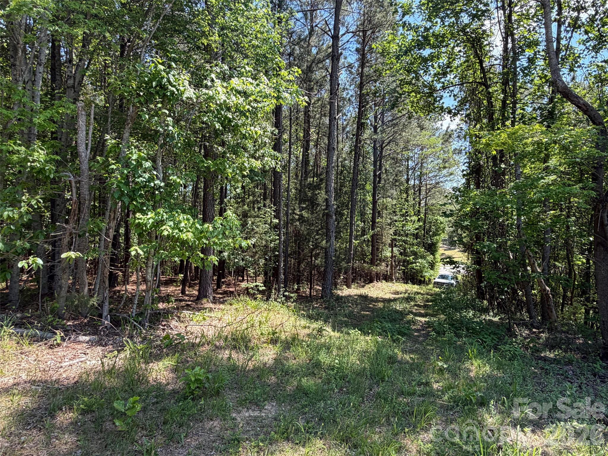 2607 Lockhart Highway Union, SC 29379 - Photo 6 of 19