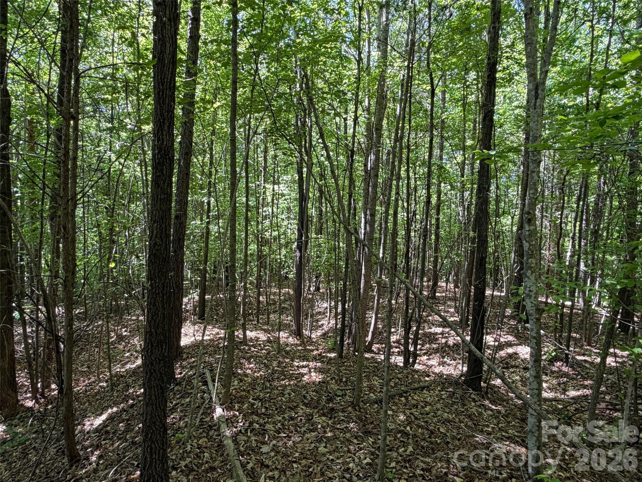 2607 Lockhart Highway Union, SC 29379 - Photo 8 of 19