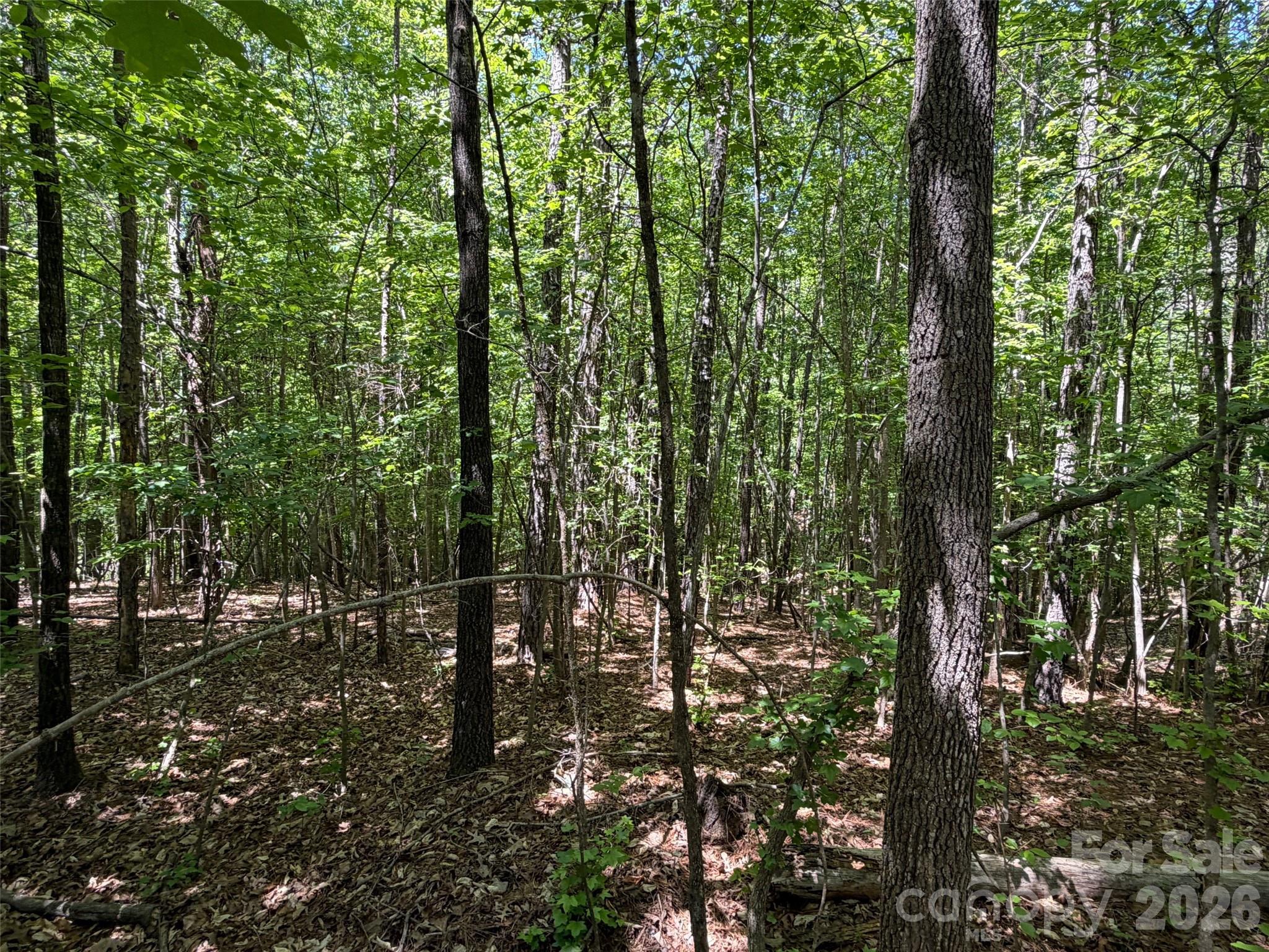2607 Lockhart Highway Union, SC 29379 - Photo 9 of 19