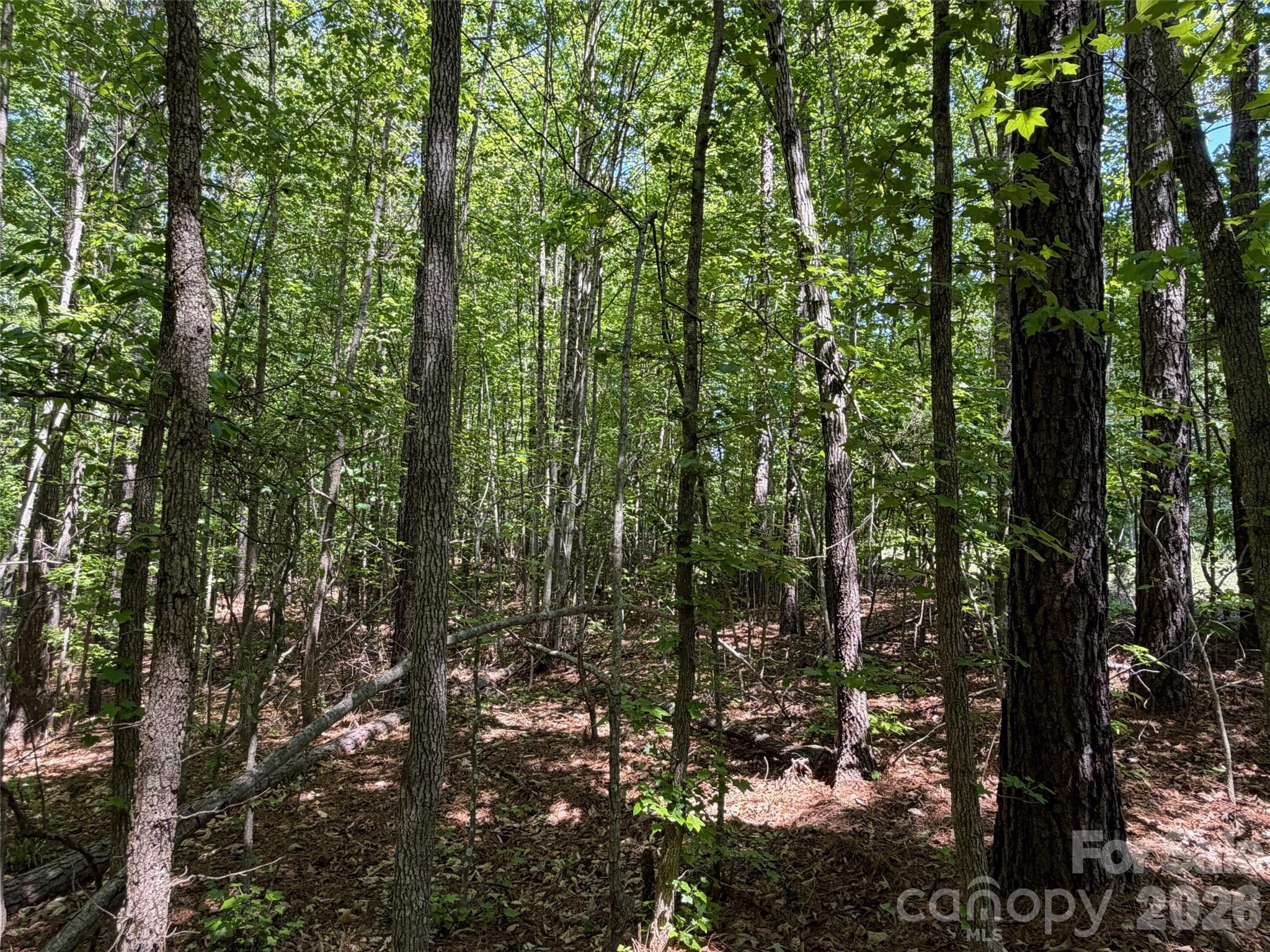 2607 Lockhart Highway Union, SC 29379 - Photo 10 of 19