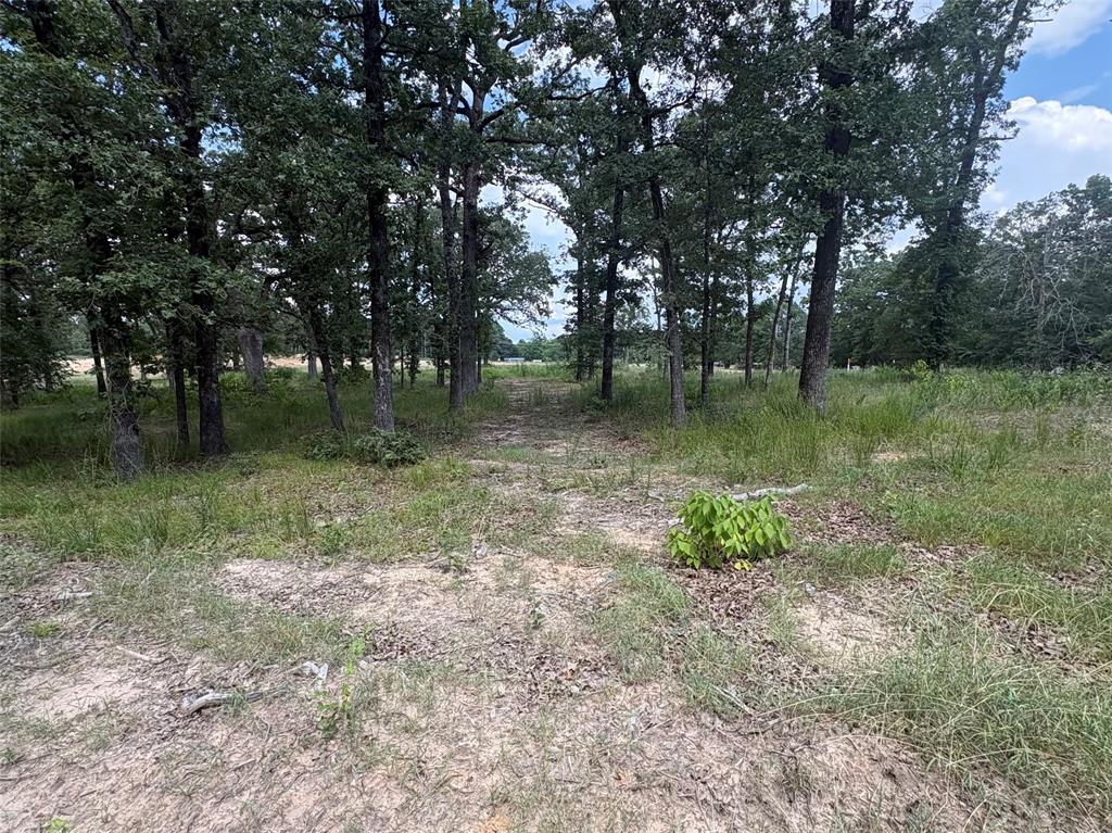 5948 Rd Yantis Tx 75765 Road, Unit 23 Yantis, TX 75497 - Photo 6 of 11