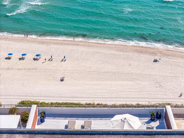 a living room with furniture lamp and potted plant