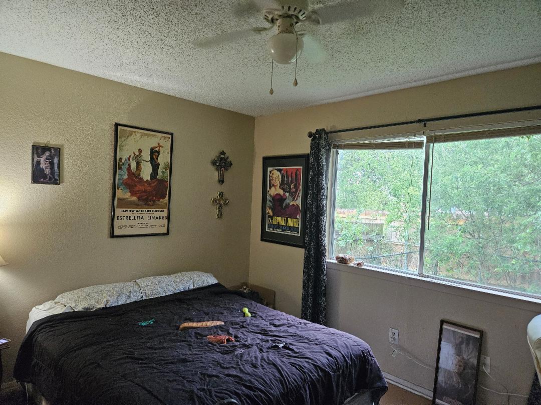 817 Lexington Road Elgin, TX 78621 - Photo 16 of 20 a bed sitting in a bedroom next to a window