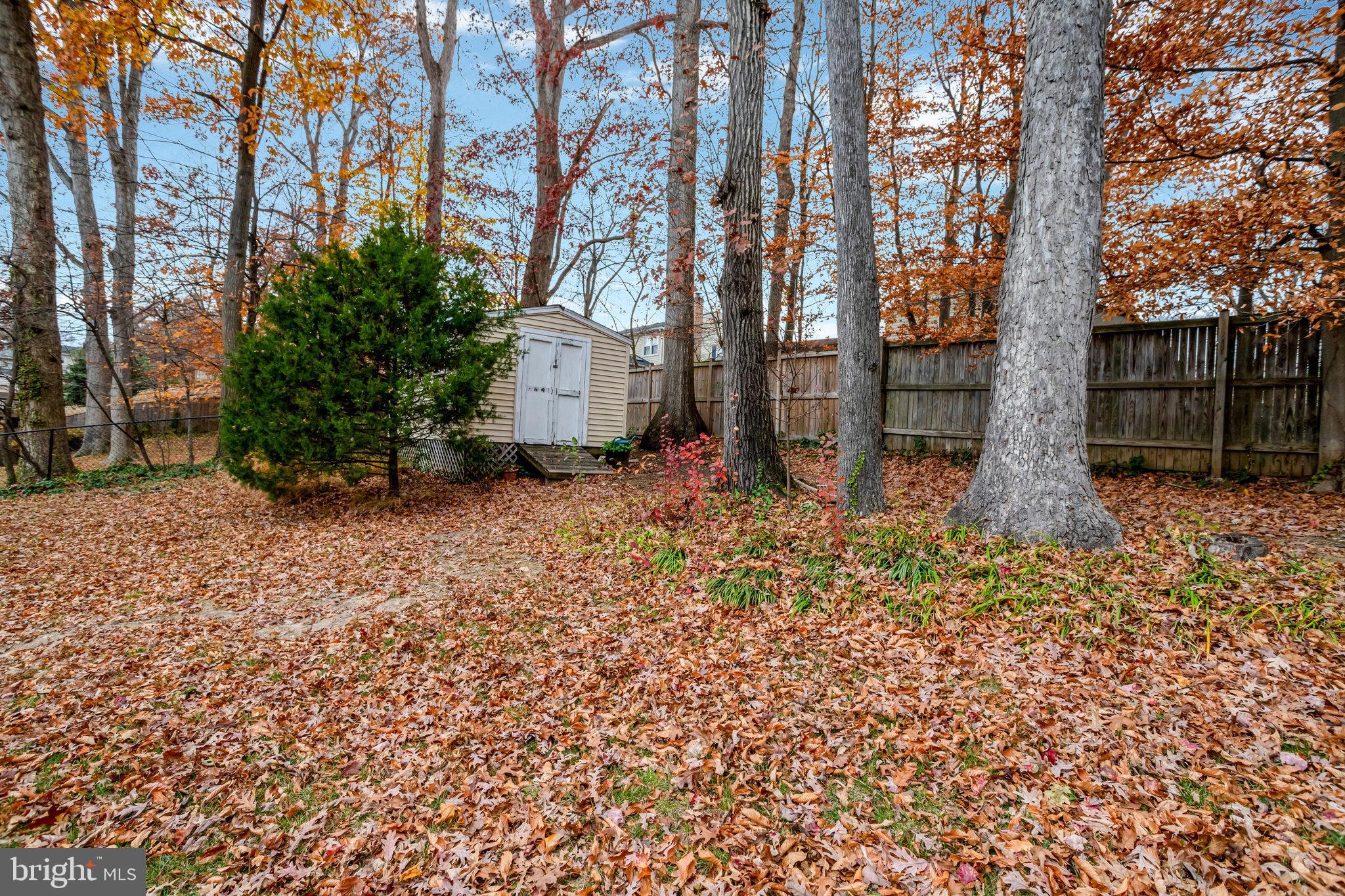 8626 Kerry Lane Springfield, VA 22152 - Photo 48 of 48 a backyard of a house with lots of green space