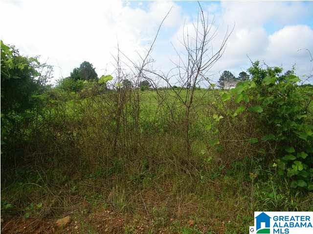 470 County Road, Unit 19 Woodland, AL 36280 - Photo 2 of 3