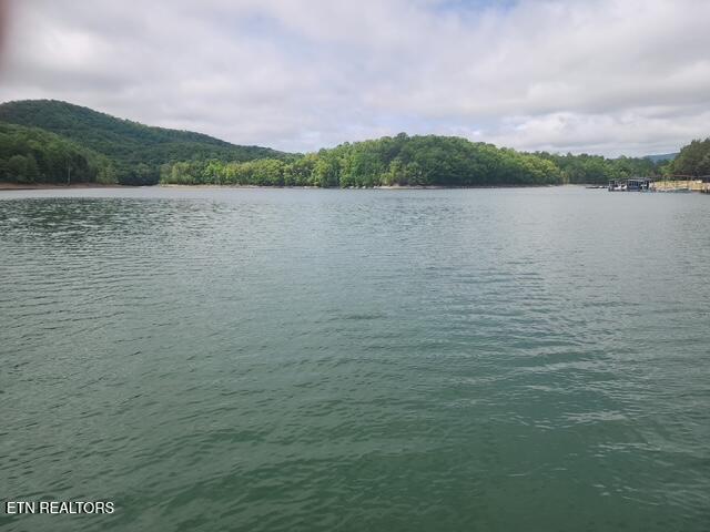 431 Powell Valley Marine Road La Follette, TN 37766 - Photo 2 of 35 431 Powell Valley Marine Rd (72)