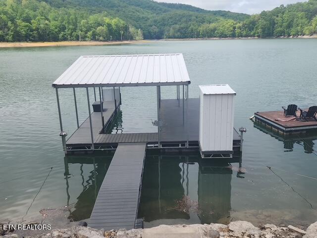 431 Powell Valley Marine Road La Follette, TN 37766 - Photo 3 of 35 431 Powell Valley Marine Rd (66)